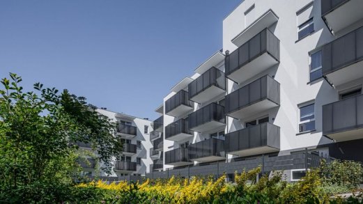 Zielona Przystań - Poznań (Stare Miasto)