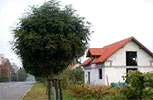 Zdjęcie inwestycji Tarasy Wilczak 6718